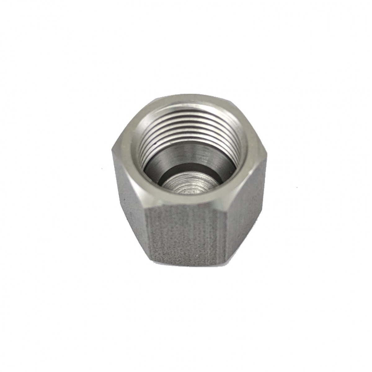 EGR Cap only (header side)